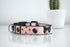 Sushi Collection | Pet Collar