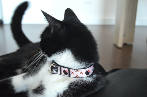 Sushi Collection | Pet Collar