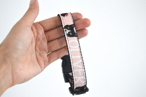 Sushi Collection | Pet Collar