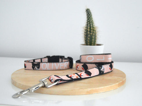 Sushi Collection | Pet Collar