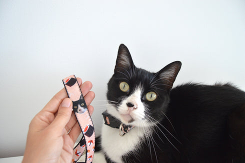 Sushi Collection | Pet Leash