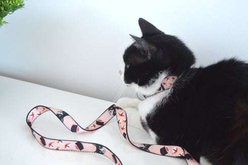 Sushi Collection | Pet Leash