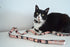 Sushi Collection | Pet Leash