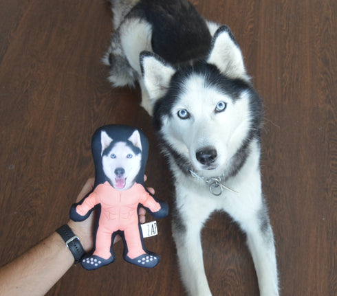 Fun Pillows | Custom Photo Pillow