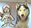 Astronaut Pillows | Custom Photo Pillow