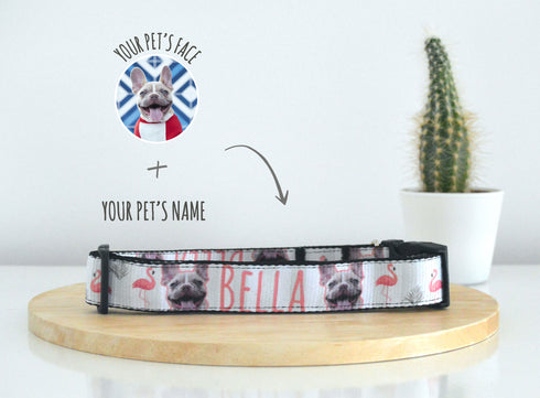 Flamingo Collection | Pet Collar