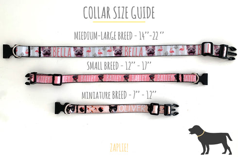 Create your Pet Collar