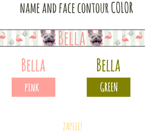 Flamingo Collection | Pet Collar