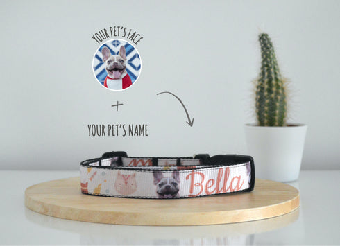 Boho Collection | Pet Collar