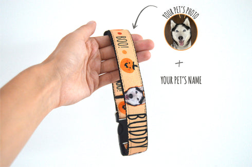 Halloween Collection | Pet Collar