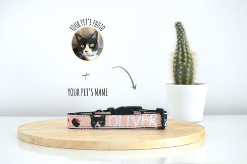 Sushi Collection | Pet Collar