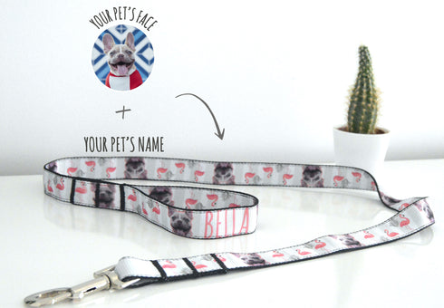 Flamingo Collection | Pet Leash