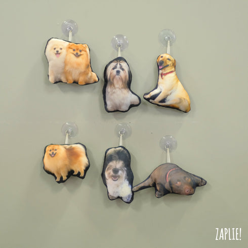 Pet Keychain with Picture