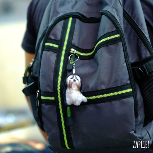 Pet Keychain with Picture