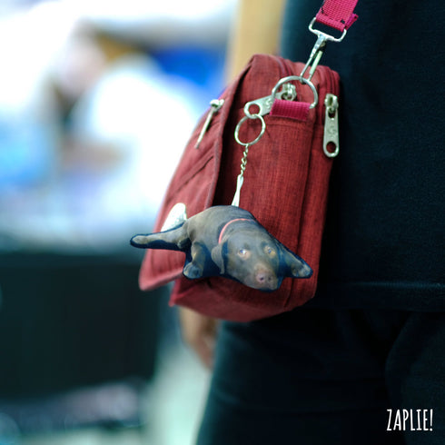 Pet Keychain with Picture