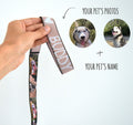 Photos Collection | Pet Leash