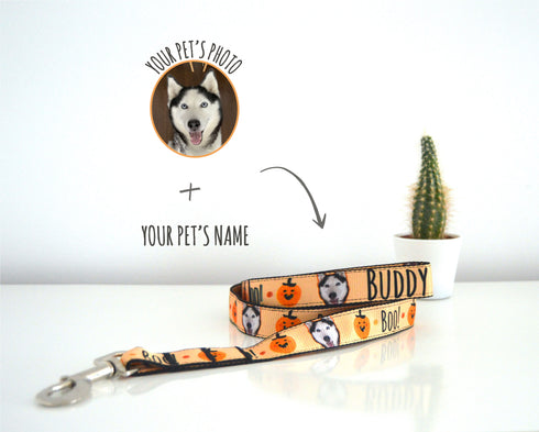 Halloween Collection | Pet Leash