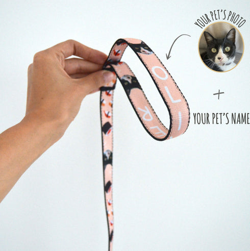 Sushi Collection | Pet Leash